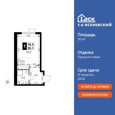 Планировка: Студия, 30,1 м²